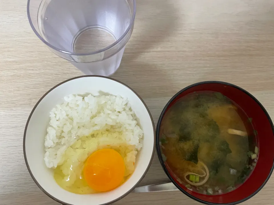 卵かけご飯|あやかんさん