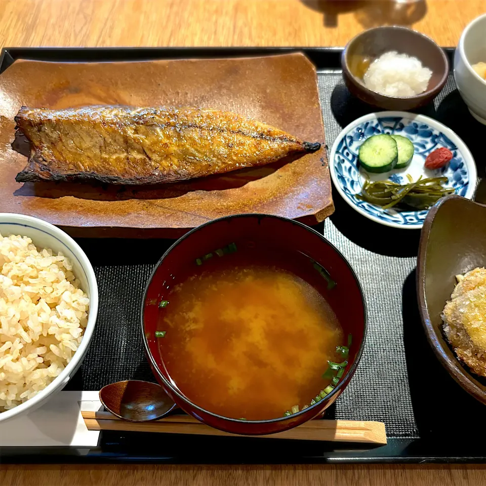 さばスパイス干し|ナルキンさん