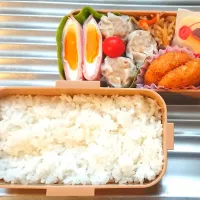 Snapdishの料理写真:しゅうまい弁当|8YUKKO8さん