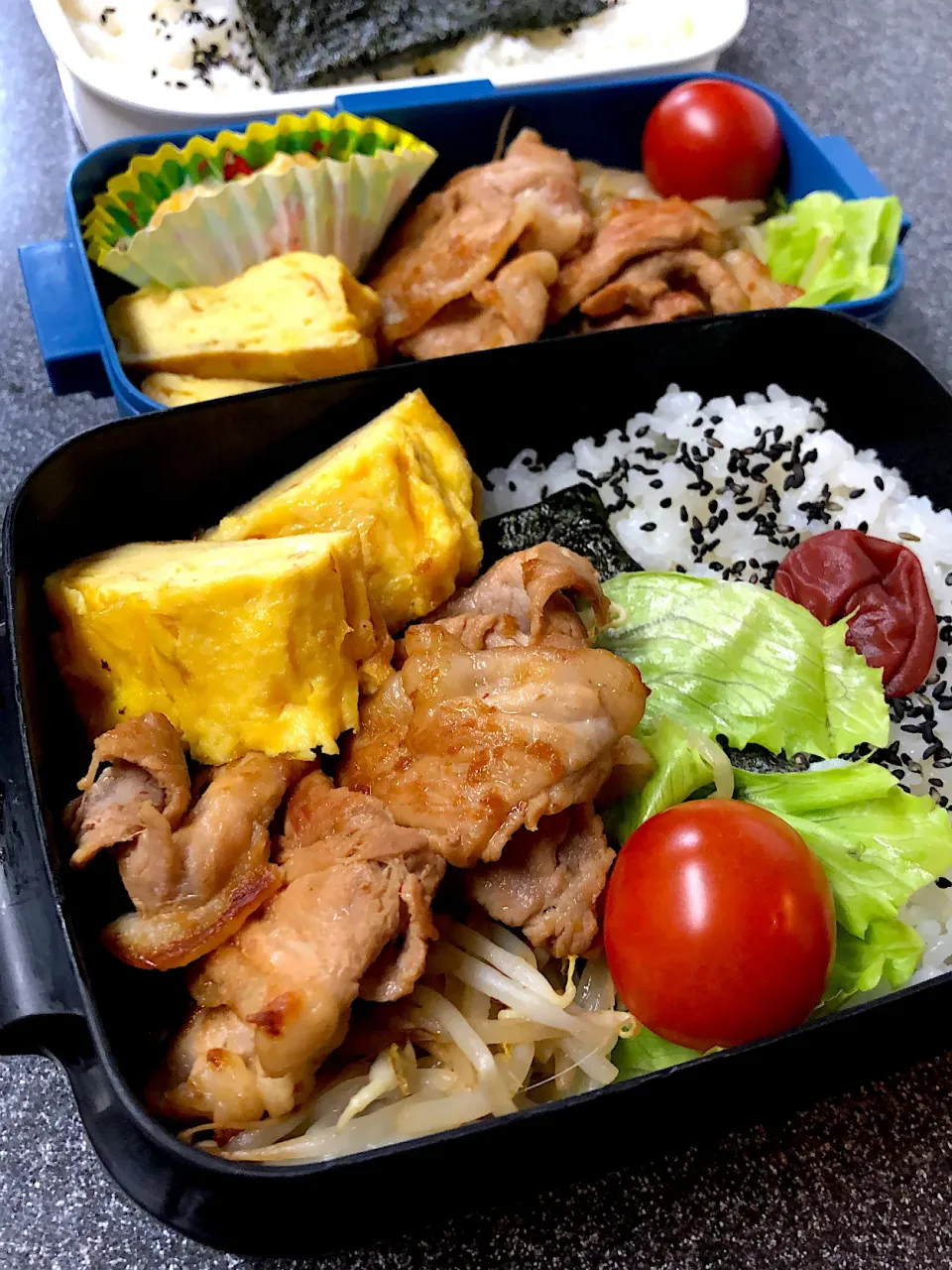 今日のお弁当♪|ミキのんさん