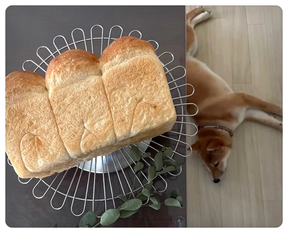 Snapdishの料理写真:いつもの山食🍞🐕|yucca@さん