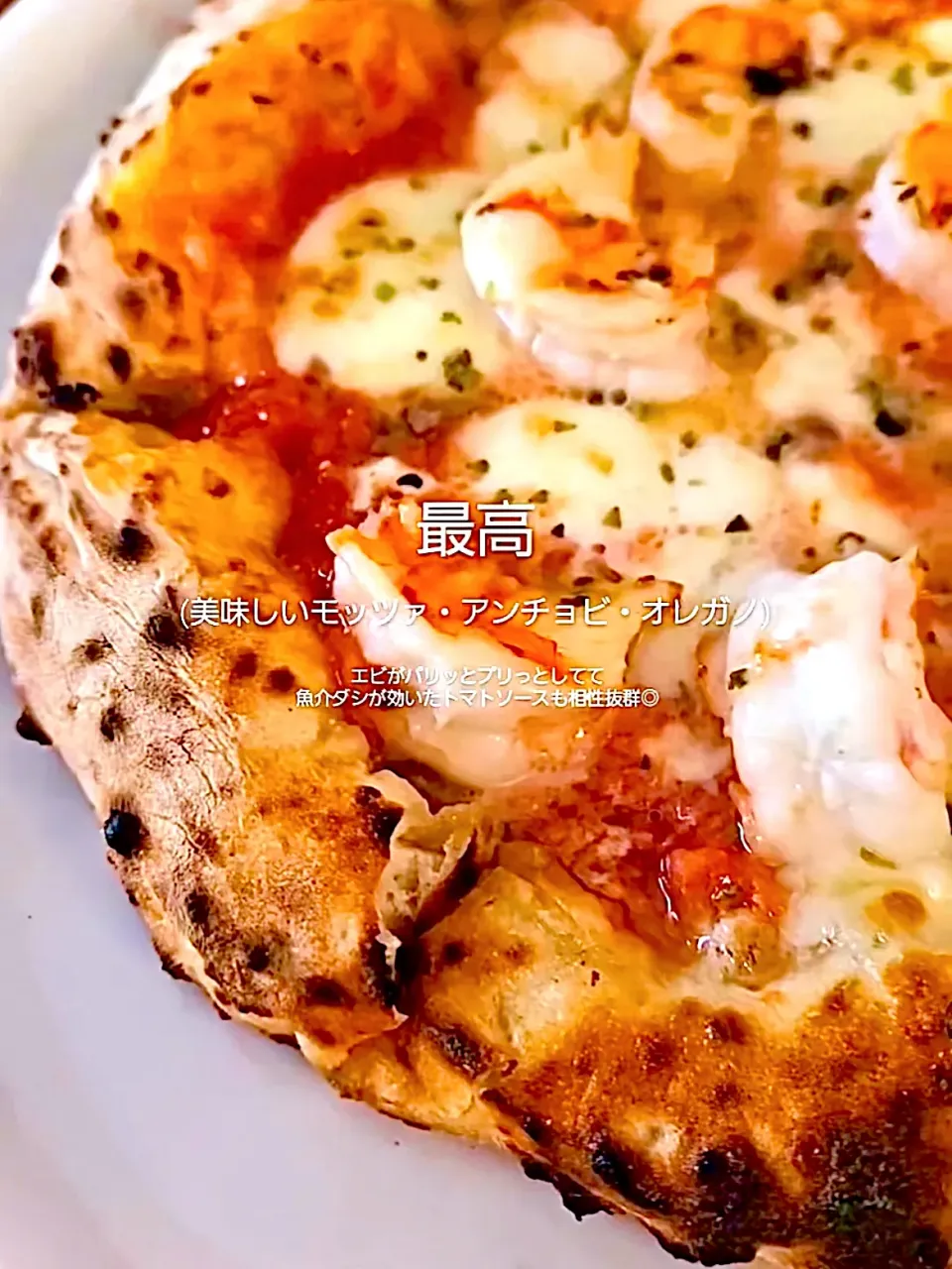 pizza 🍕    ♡o｡.｡･ﾟ･(⦾ᗜ⦾)･ﾟ･｡.｡o♡ｳﾏ-      ウナりました🩷   © PIZZA&CAFE森のオーブン DOTTORE(🍕•᎑•🍕)|mamacoさん