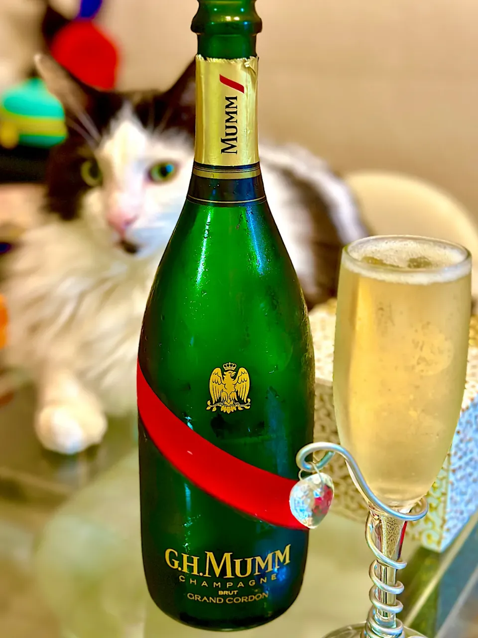 Snapdishの料理写真:🍾|にゃあ（芸名）さん