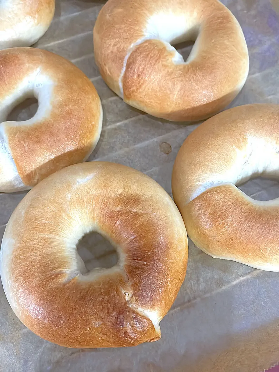 安定のプレーンベーグル🥯|ひろりんさん