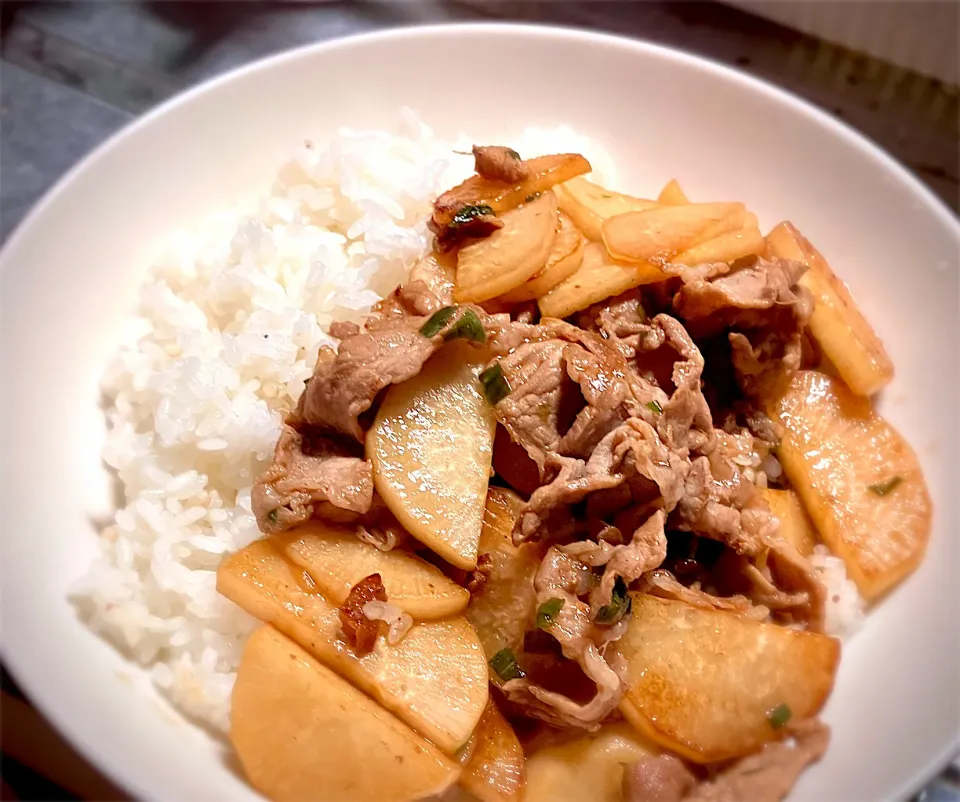 今夜は、豚肉と大根のオイスターソース炒め飯を頂きました😋👍|ギムレットさん