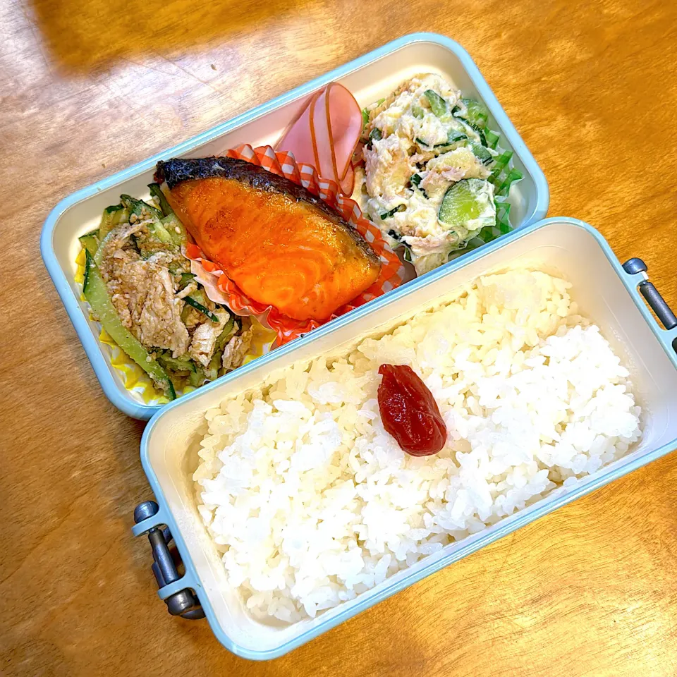 鮭弁当|えつこさん