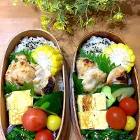 Snapdishの料理写真:アメリカ留学前の最後のお弁当⁉️|Viamomさん