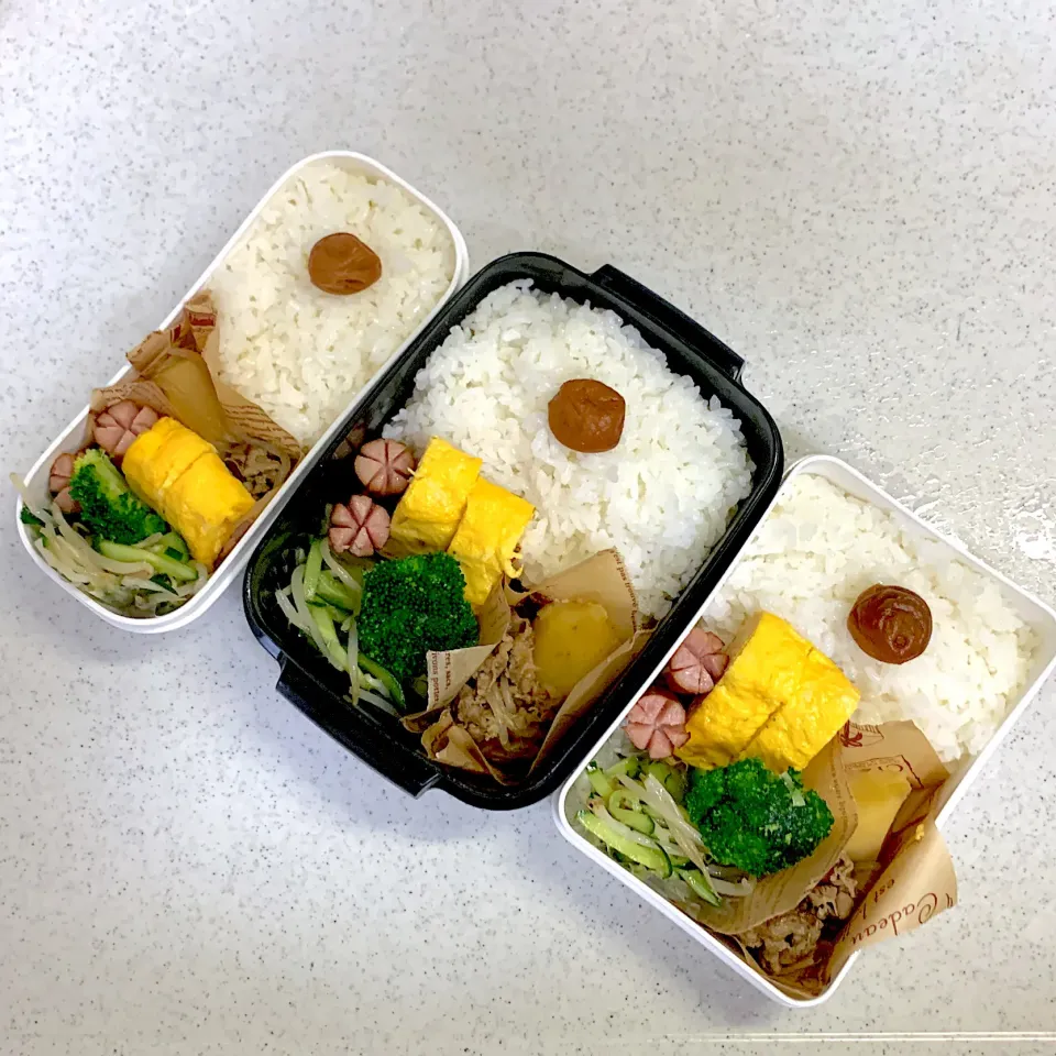 2024年7月16日お弁当🍱|もぐぷーさん