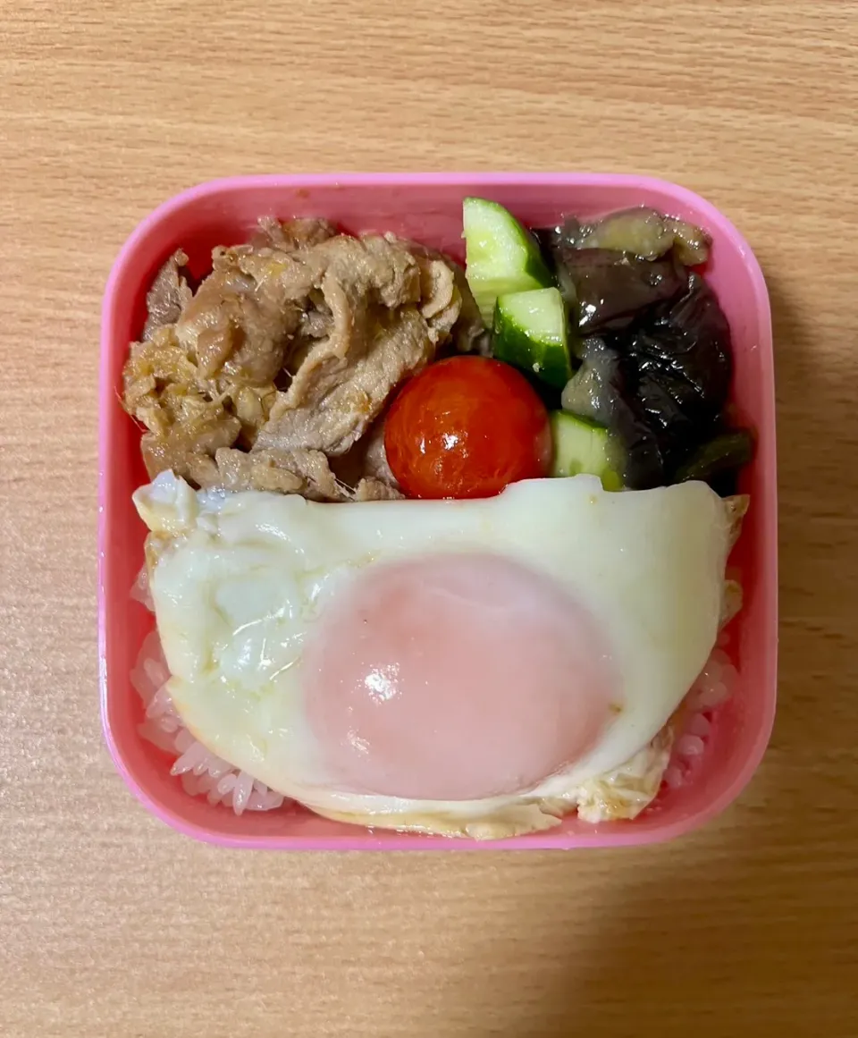 お弁当|ねこあらいぐまさん