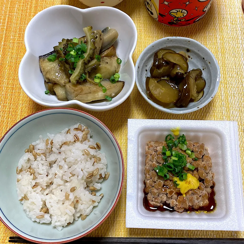 Snapdishの料理写真:納豆ご飯|akkoさん