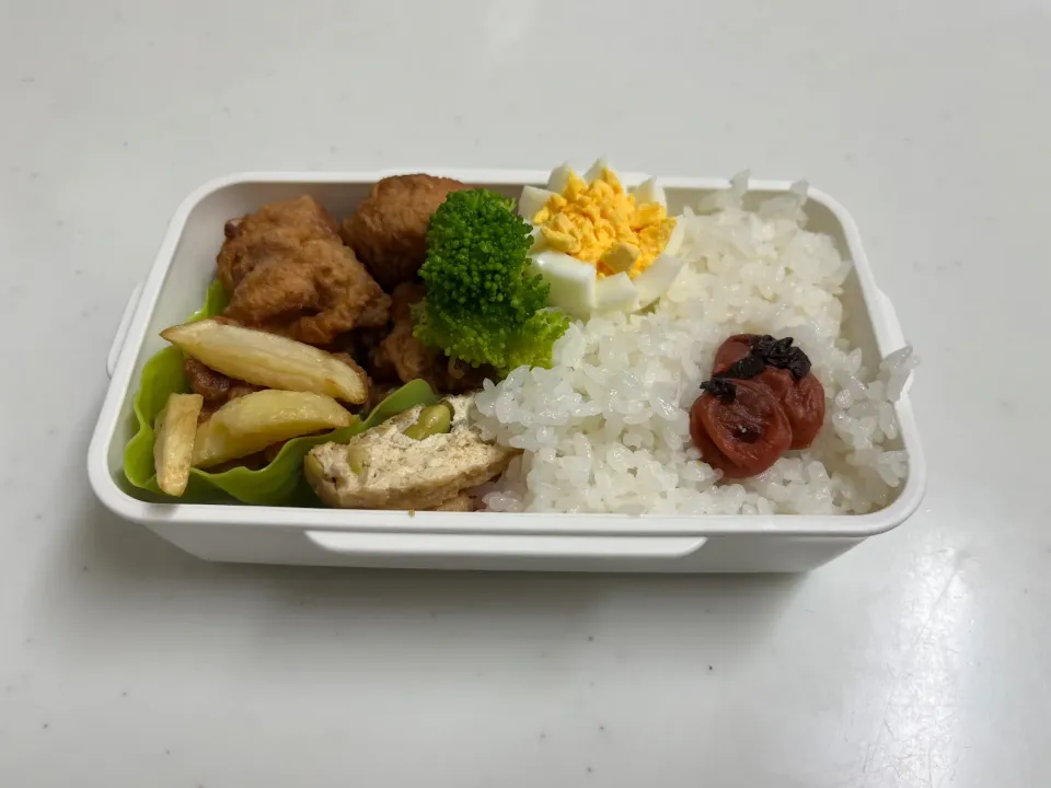 妻のお弁当|もとくんさん