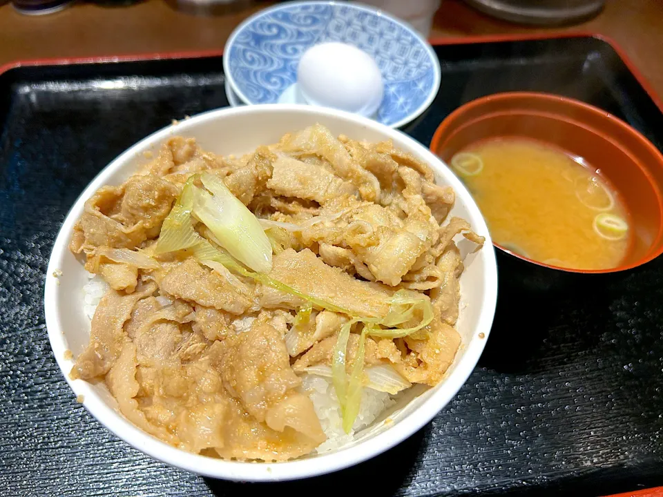 スタミナ丼 大盛|かぬさん