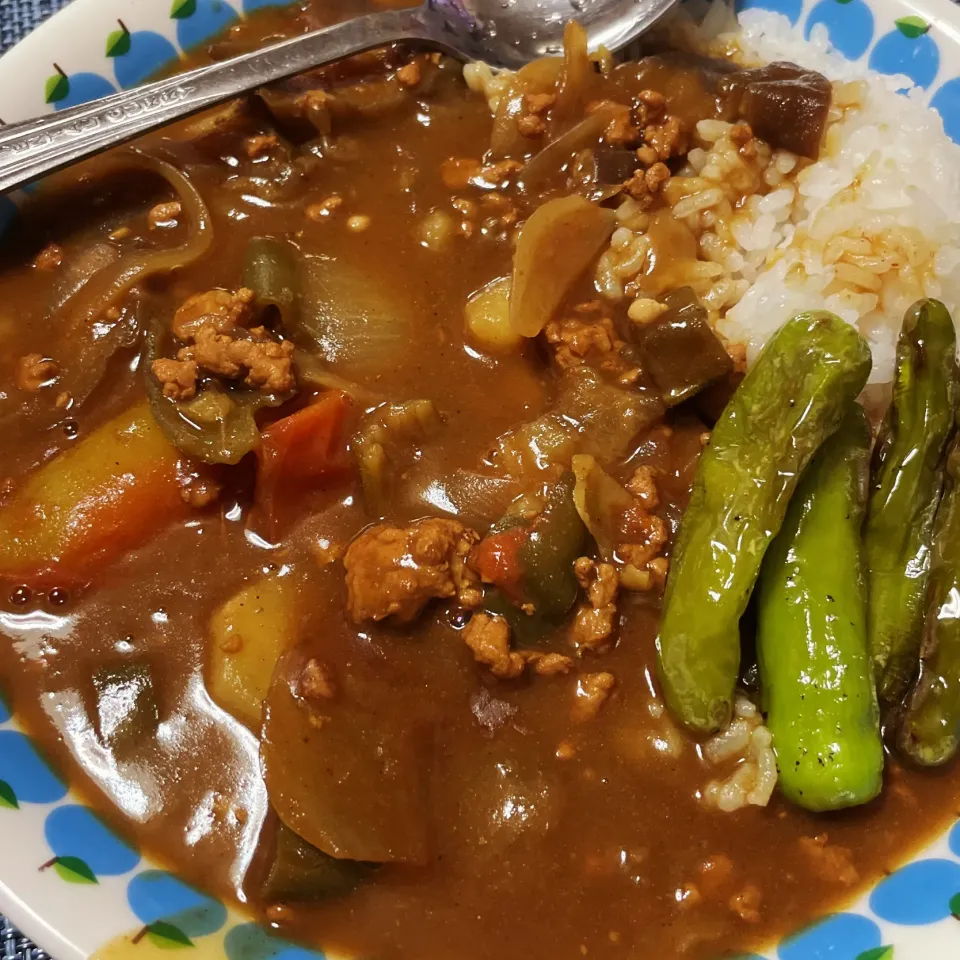 Snapdishの料理写真:夏野菜カレー|kazzz3さん