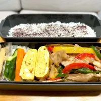 Snapdishの料理写真:息子のお弁当〈6月〉|かおりさん