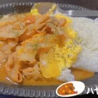 Snapdishの料理写真:ハヤシライス|みみさん