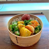 Snapdishの料理写真:お弁当♪