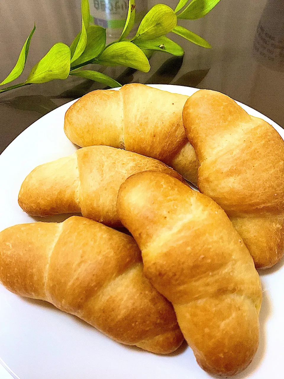 🥐手作り塩パン🥐|あやめもちもちさん