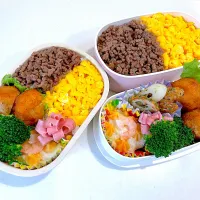 Snapdishの料理写真:夏休み弁当♡2024.7.23(tue)|yukaさん