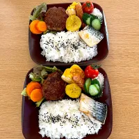 Snapdishの料理写真:2024.7.23.オッサンズ弁当|ケイトママさん