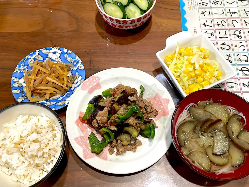 豚こまとなすピーマンの味噌炒め　なすの煮麺　コールスローサラダ　大根と蒟蒻のきんぴら|おさむん17さん