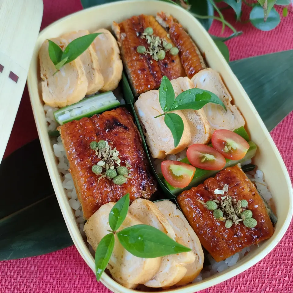 今日のわっぱご飯|ふかふかごはんさん