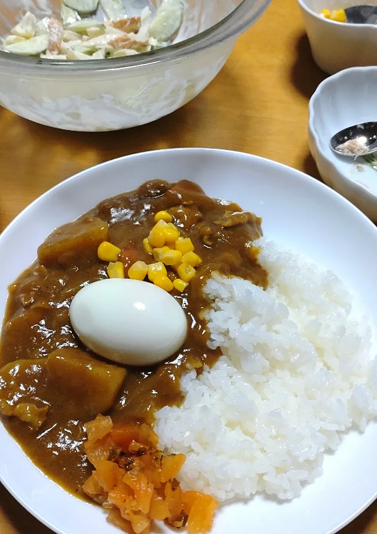 2日目のカレーライスとゆで卵

きゅうりとちくわのマヨネーズわさびあえ|しまだ ちえこさん