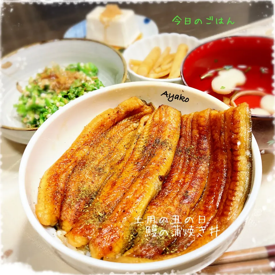 Snapdishの料理写真:鰻の蒲焼き丼|亜矢子さん