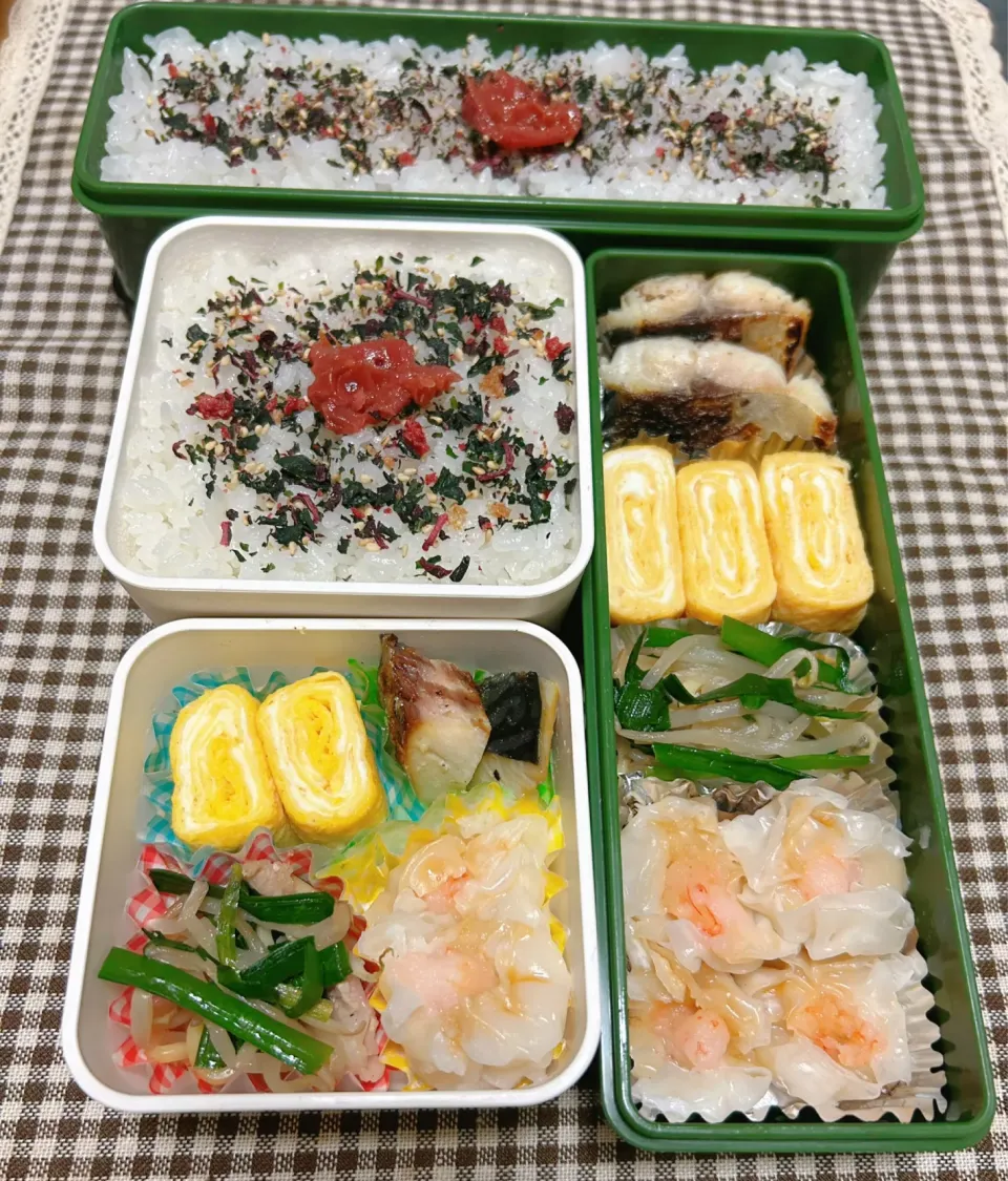 今日のお弁当 2024.7.25(Thu)|*seiko*さん