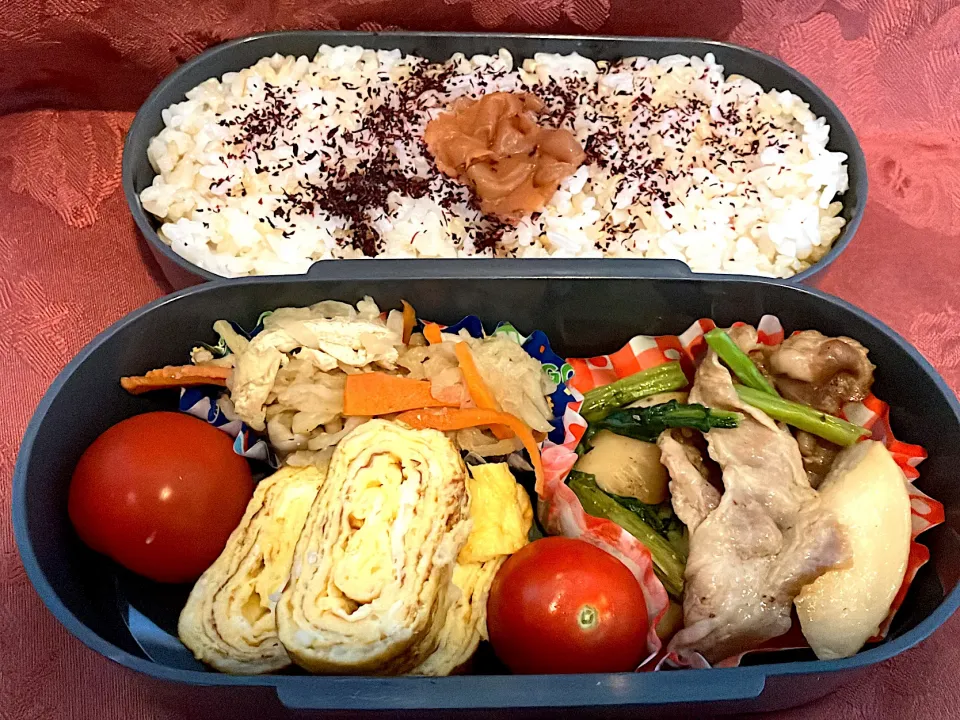 息子弁当　1️⃣-6日目|れいちんさん