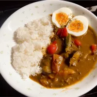 Snapdishの料理写真:夏野菜カレー|deisuiさん