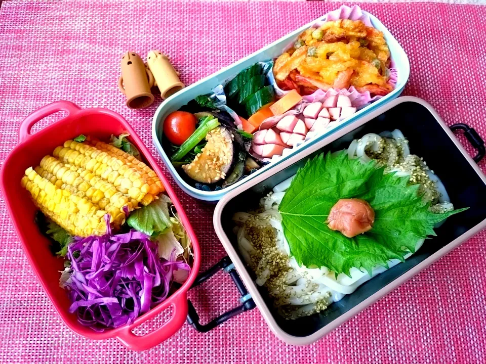 🍀2024/0729(月)
うどん弁当

今日は40℃の予想😵
外仕事の方々には
ほんとに頭が下がります
みなさん無事に１日
過ごせますように🩵

あ😮サラダのドレッシング
持たせるの忘れたー|ともちんさん