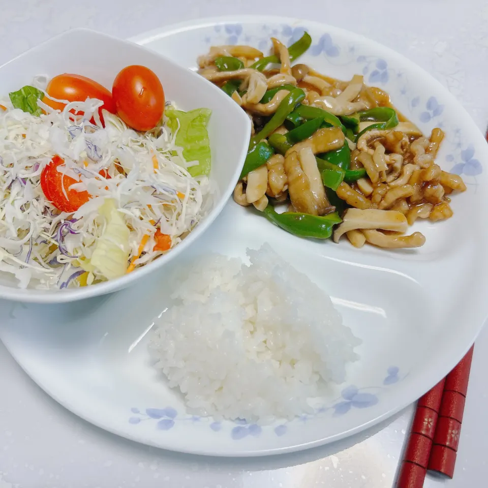 お昼ご飯|まめさん