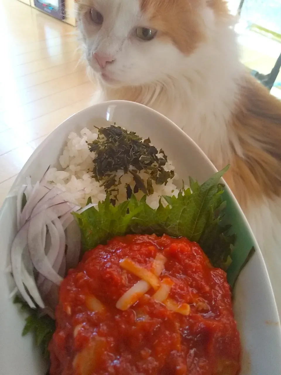 自家製粉ワカメ&
トマト煮込みハンバーグ🍅
隠し味はみりん調味料🌟
ほんのり甘くて優しいお味♪|さくらんぼさん