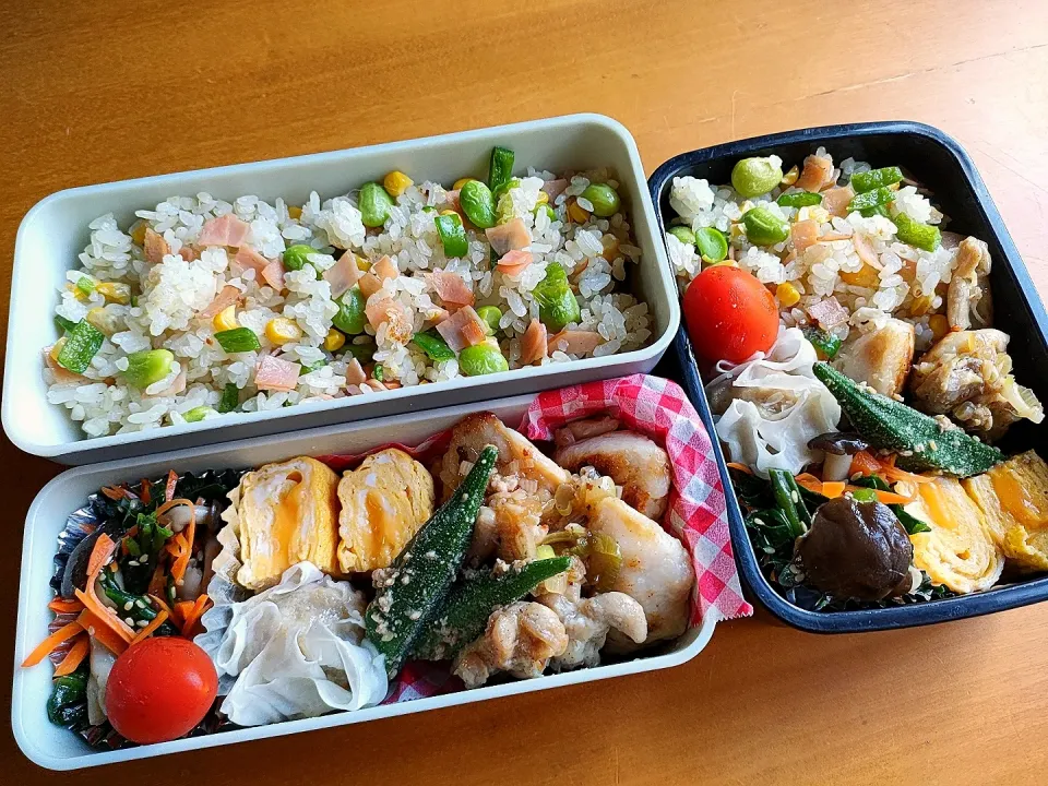 Snapdishの料理写真:次男・私弁当|tamagomagomagoさん