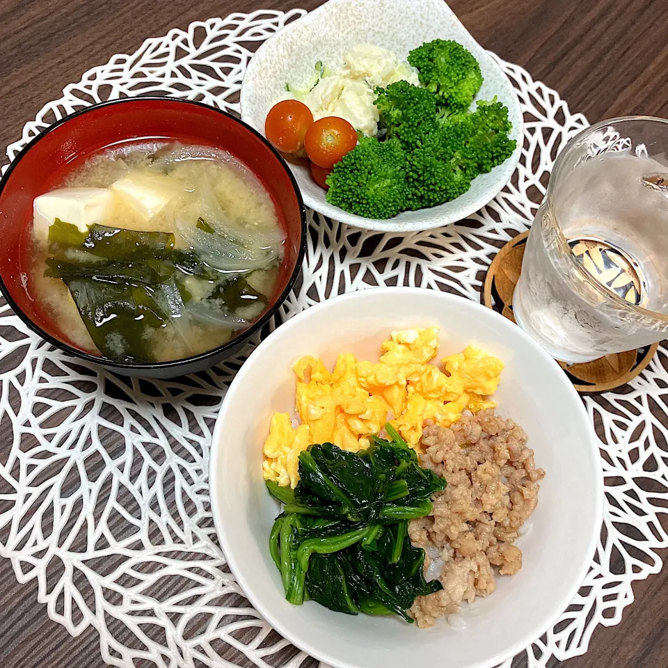 7/30  そぼろ丼|らぶちあんさん