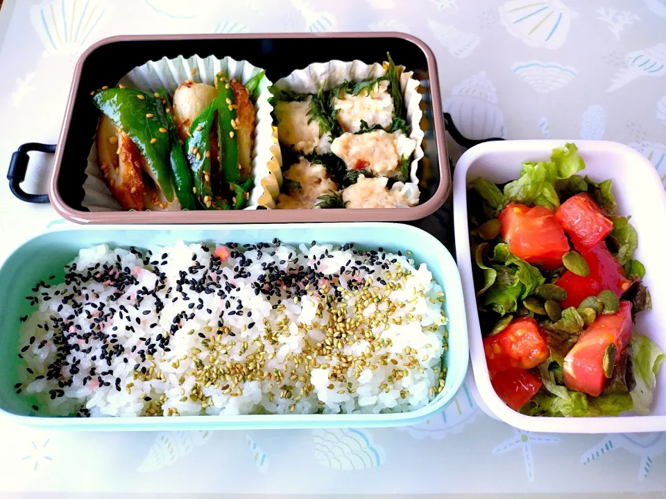 🍀2024/0801(木)
しゅうまい弁当

初めてしゅうまい作ってみました！
レシピ通りにやったけど、
なんかかたくなっちゃったなー|ともちんさん