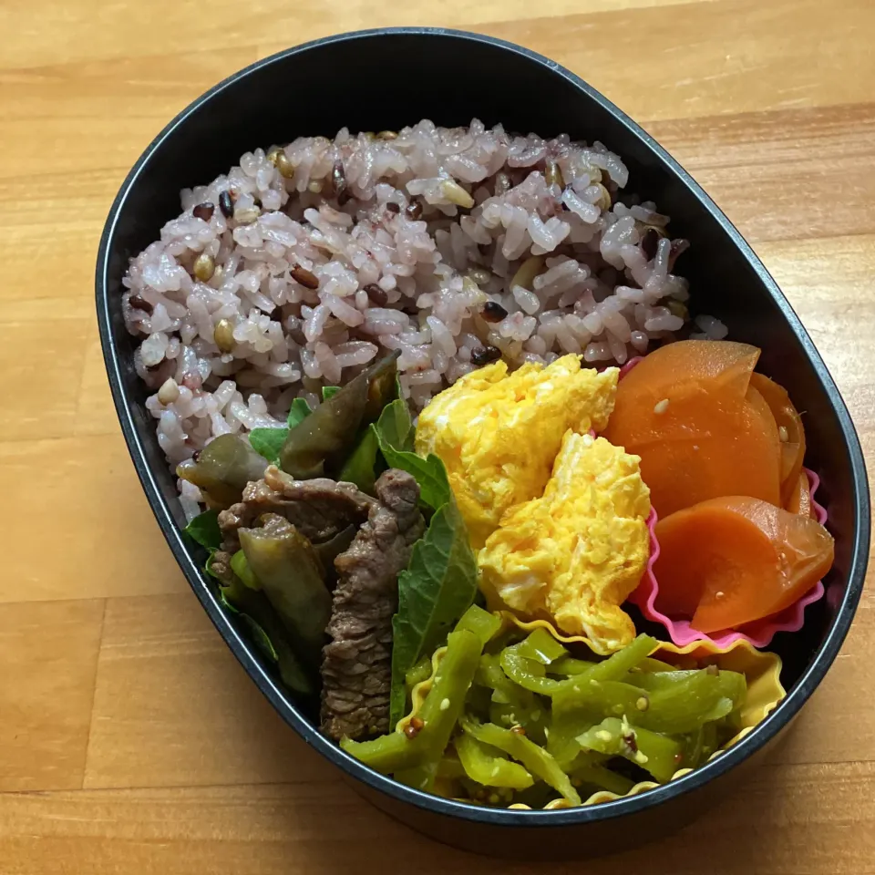 今日のお弁当|aru_sakazakさん