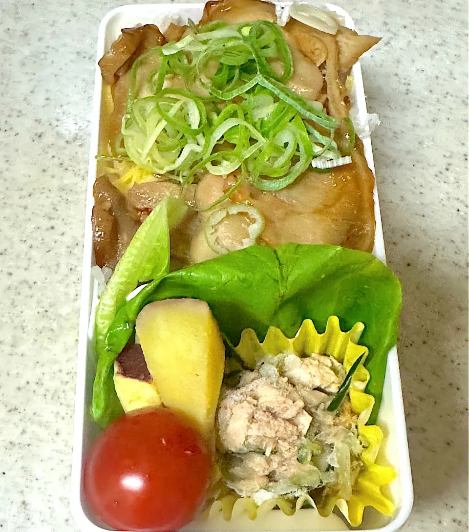 Snapdishの料理写真:鶏の蒲焼き丼弁当|besさん