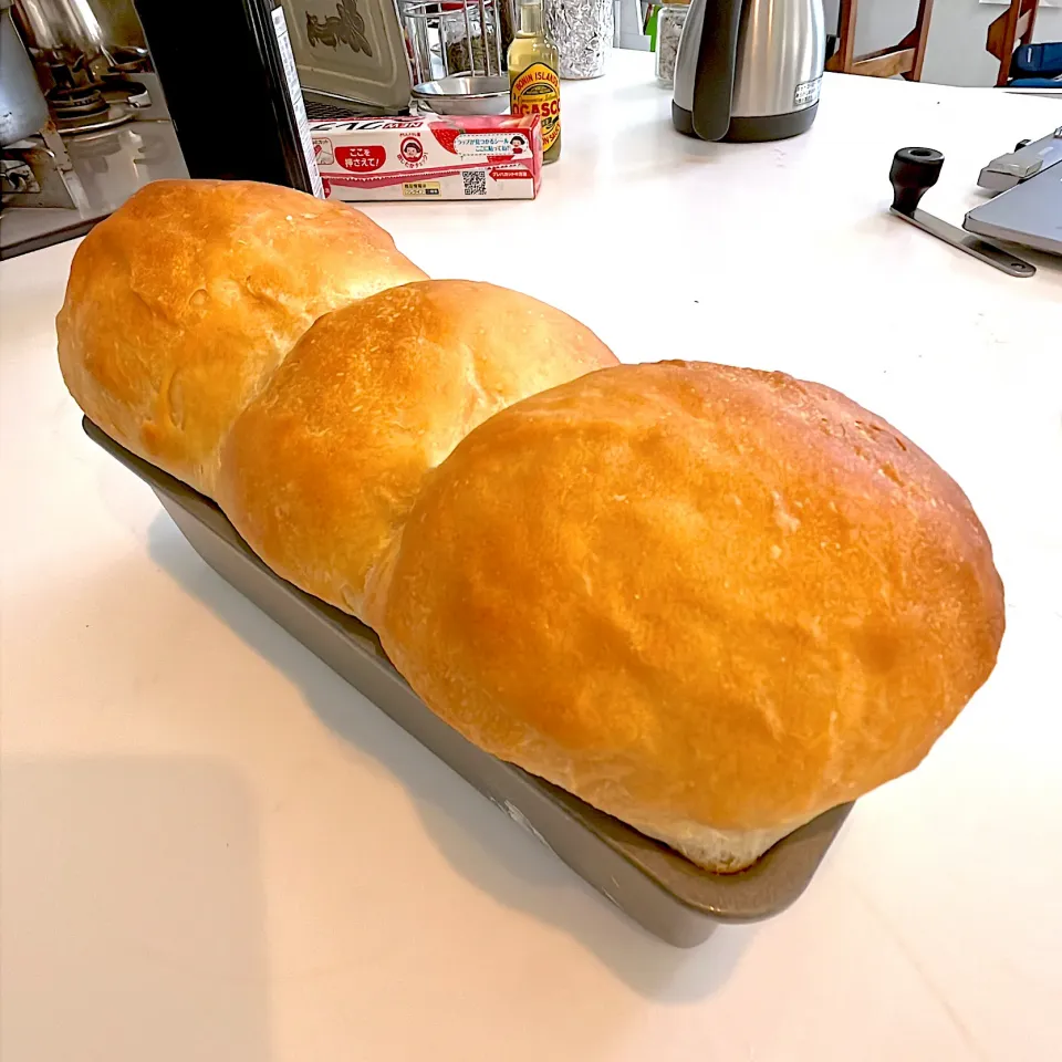 ココナッツウォーターで仕込んだ生地で作った食パン|pranzoさん