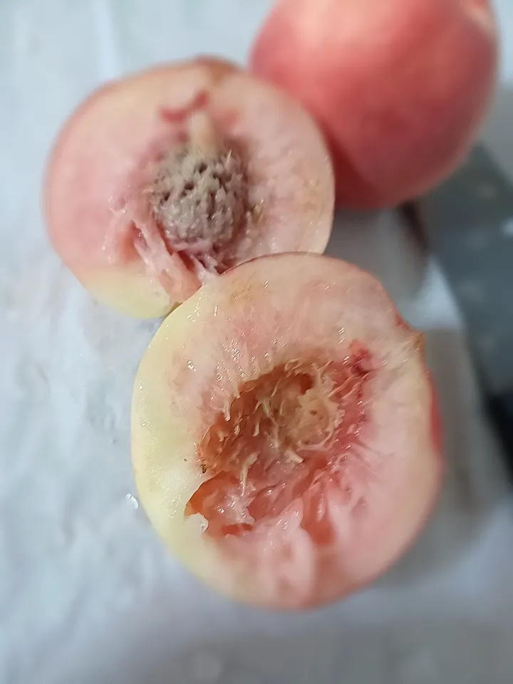 切った桃🍑|ぽんすけさん