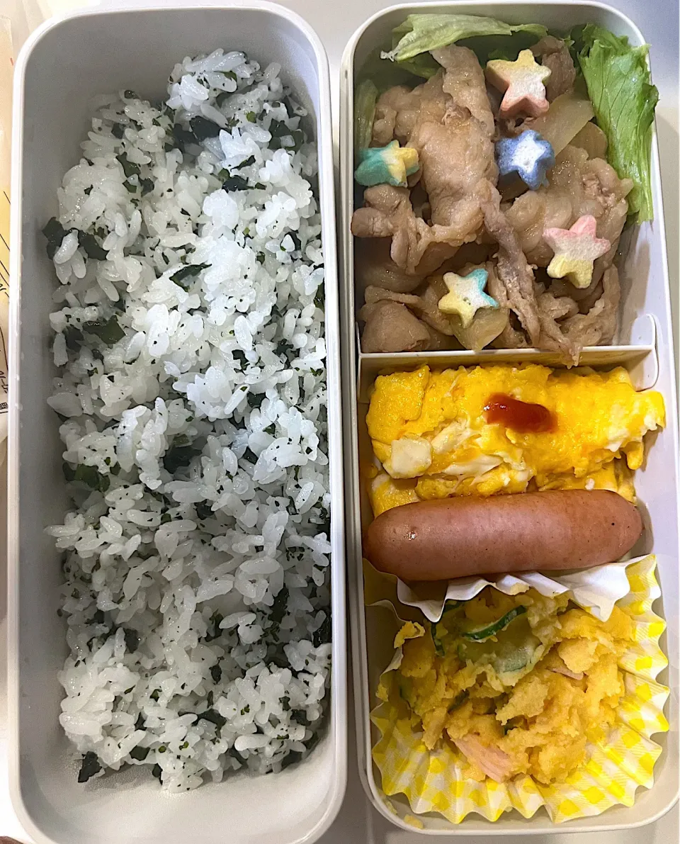 Snapdishの料理写真:6.8.3 お弁当記録|まんちきさん