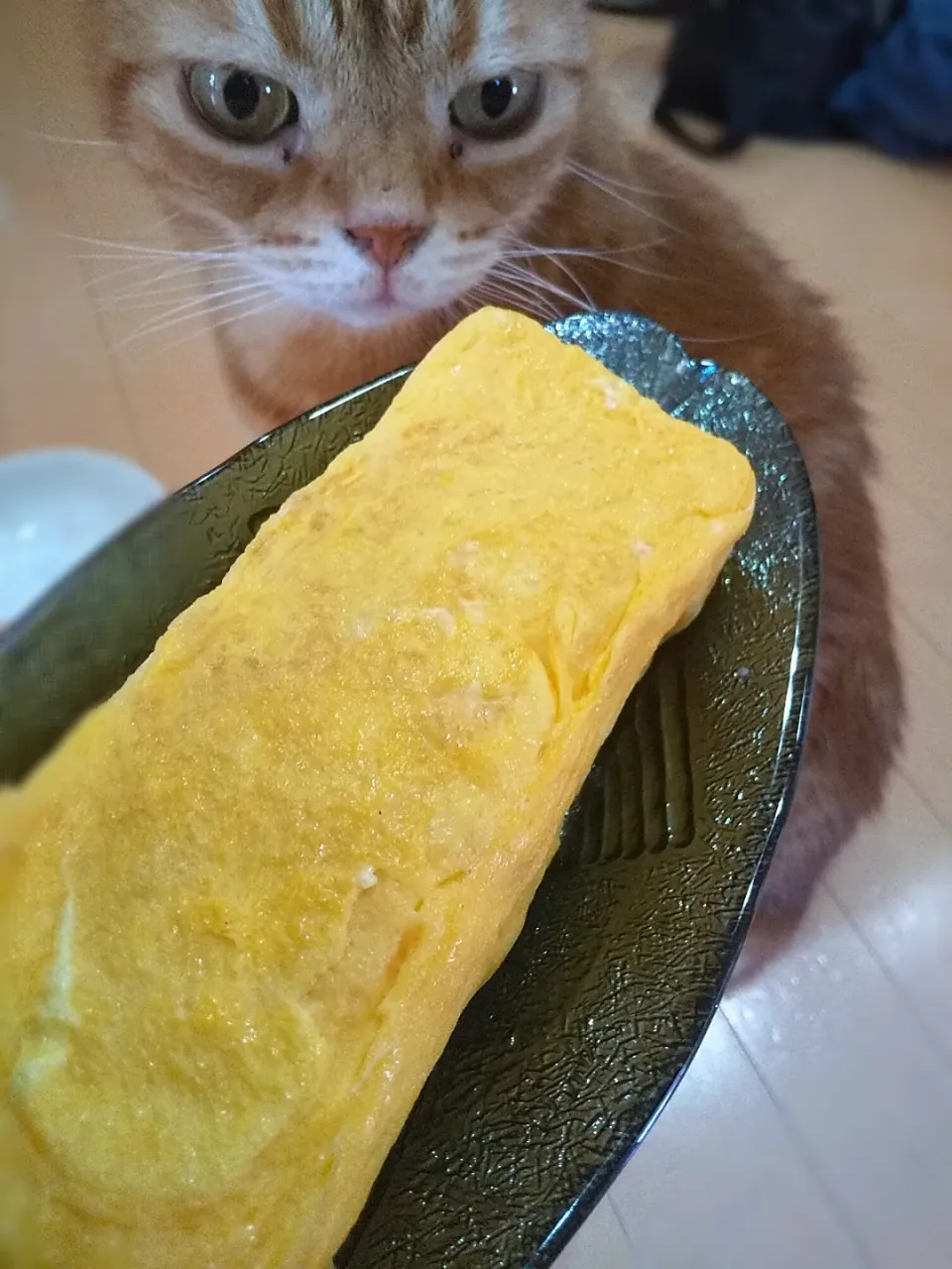 だし巻き玉子😸
夏バテ防止、栄養補給🥚|さくらんぼさん