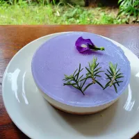 バタフライピーのレアチーズケーキ🍰