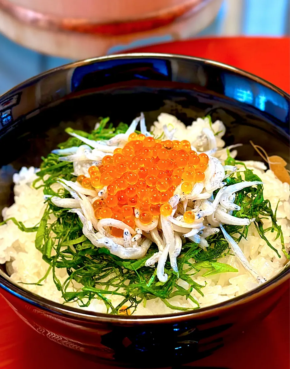 釜揚げしらすと鱒のイクラご飯|にゃあ（芸名）さん