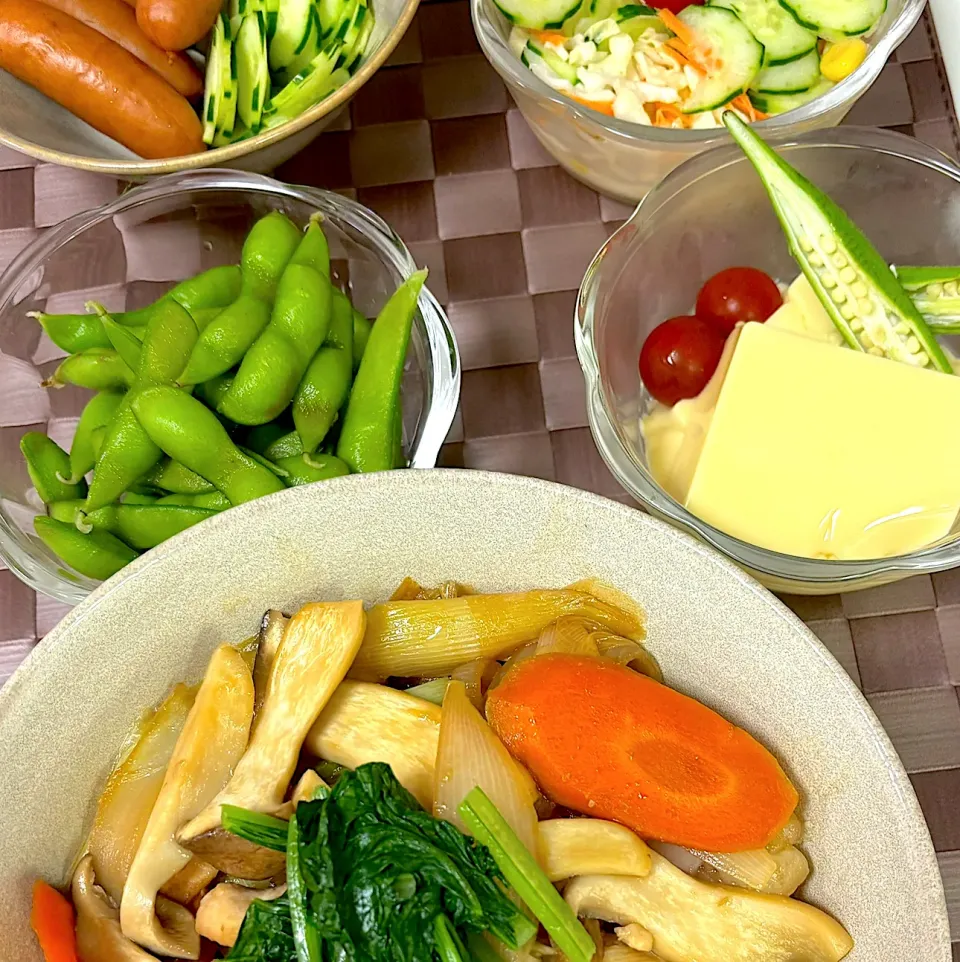 Snapdishの料理写真:鶏すき焼き残り、あとボイルソーセージ、サラダなど|にゃっきさん