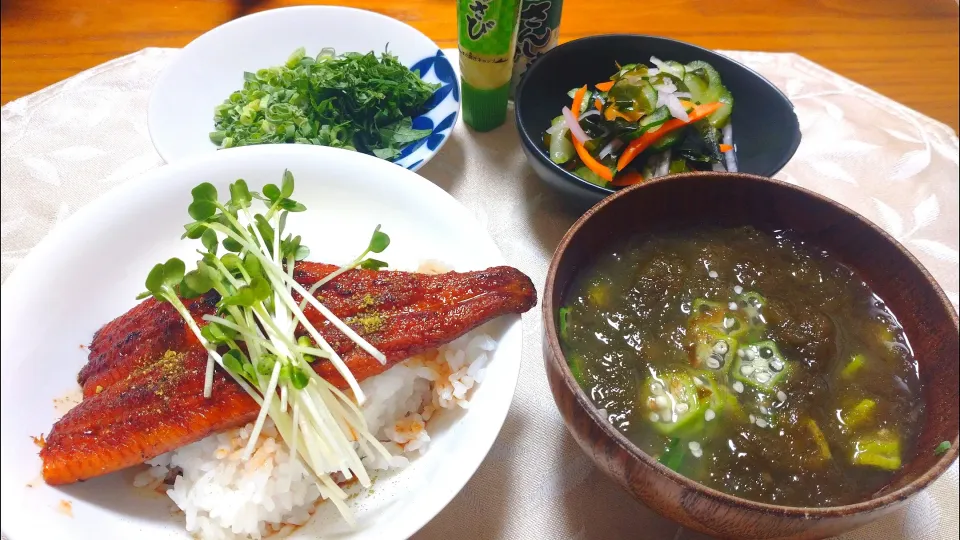 8/5の夕食
二の丑なので
鰻丼を作りました|卯月さん