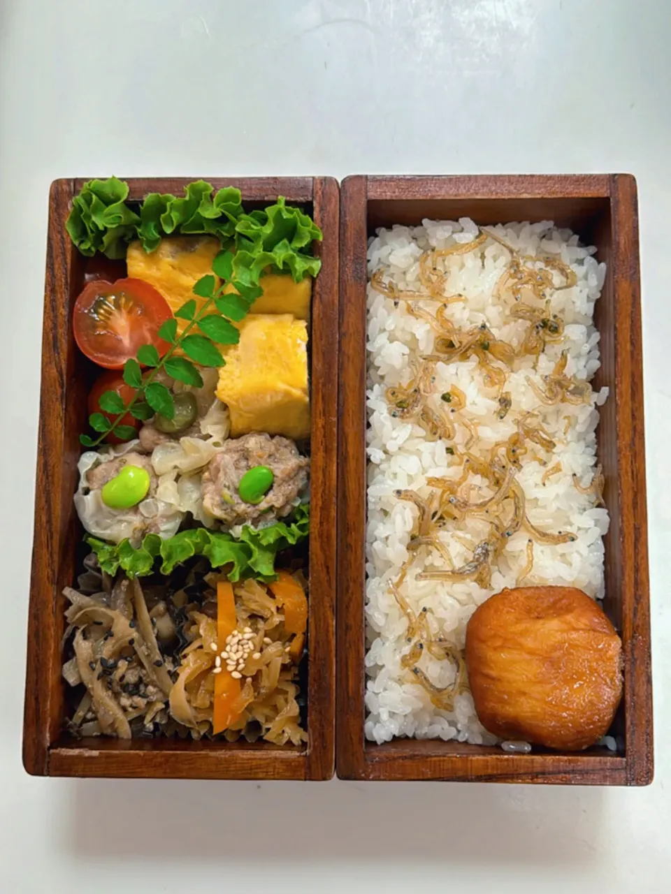 つぶみそ入り焼売弁当🍱|すぅさん