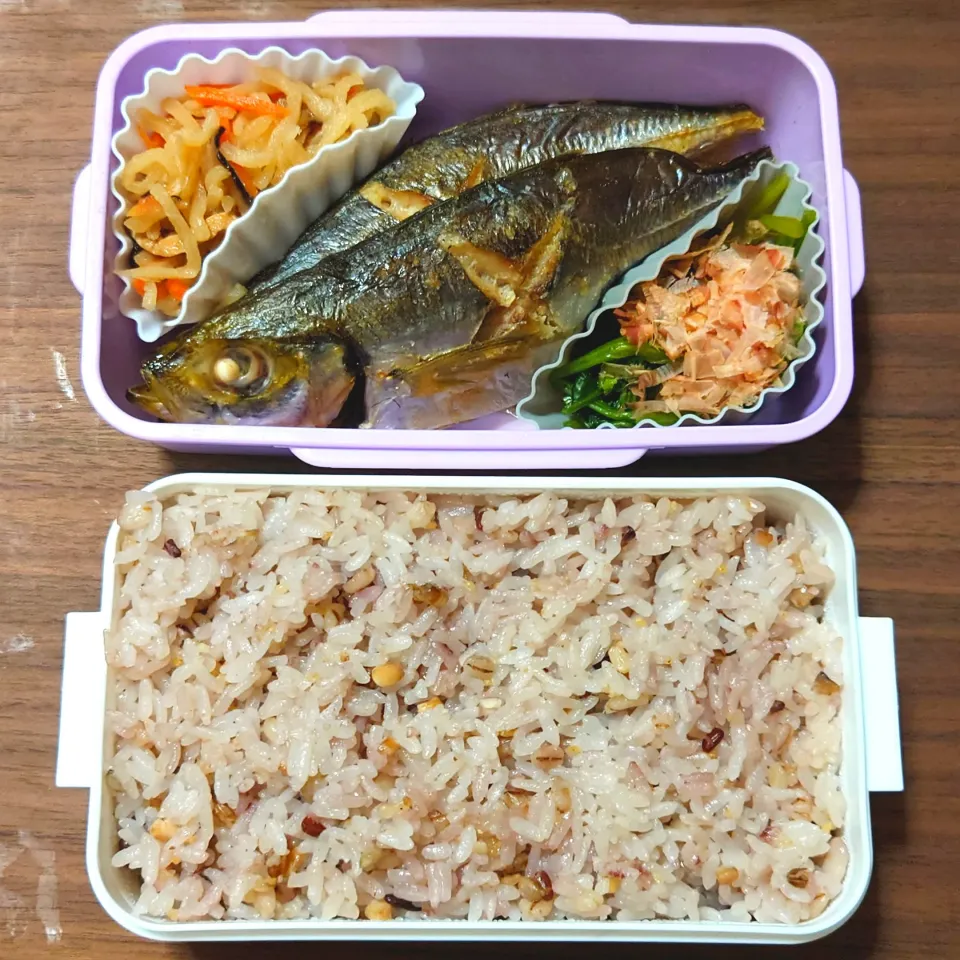 今日の手作り弁当は、あじの塩焼き弁当。

献立は、
・十六穀ごはん
・あじの塩焼き、ほうれん草のおひたし、切り干し大根|Mars＠釜飯作り研究中さん