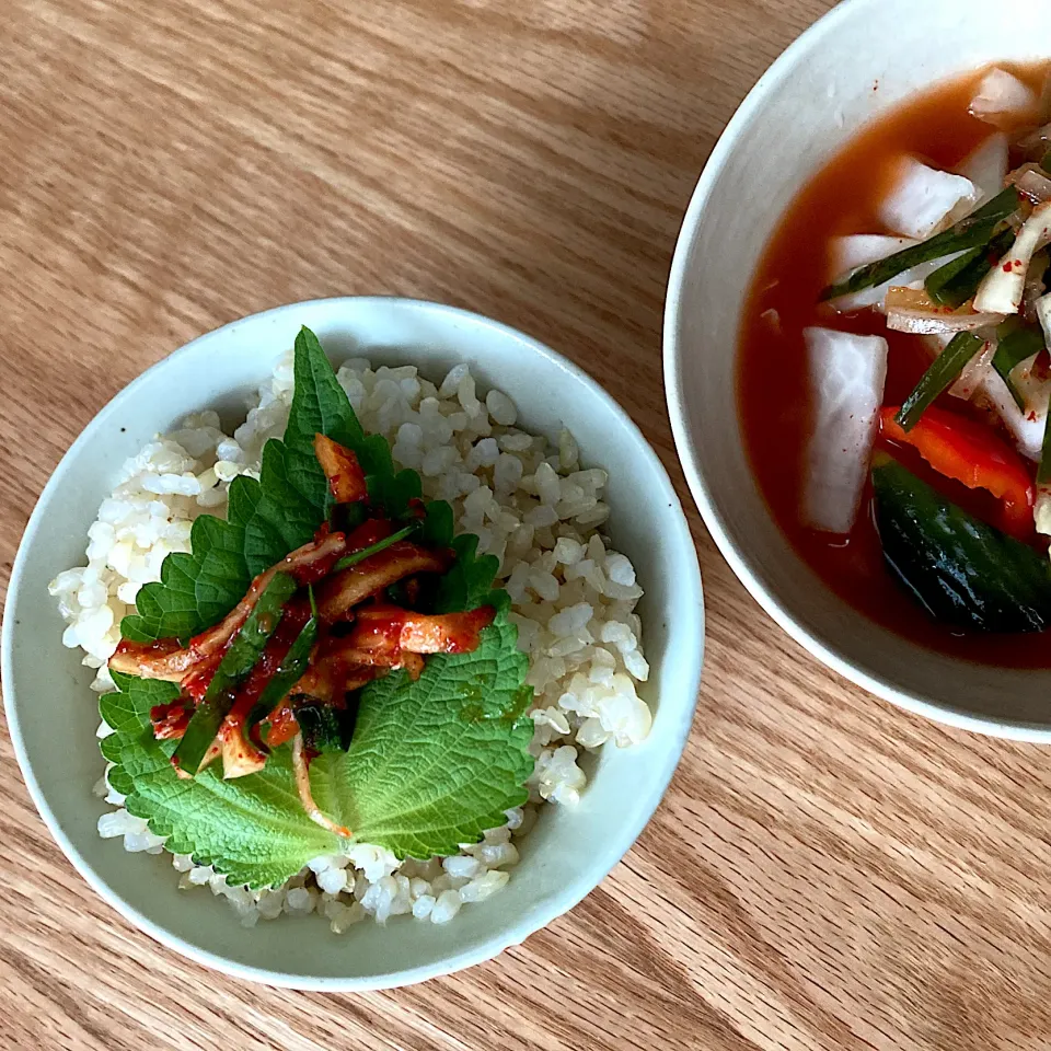 自家製ヤンニョムと水キムチ|TNK375さん