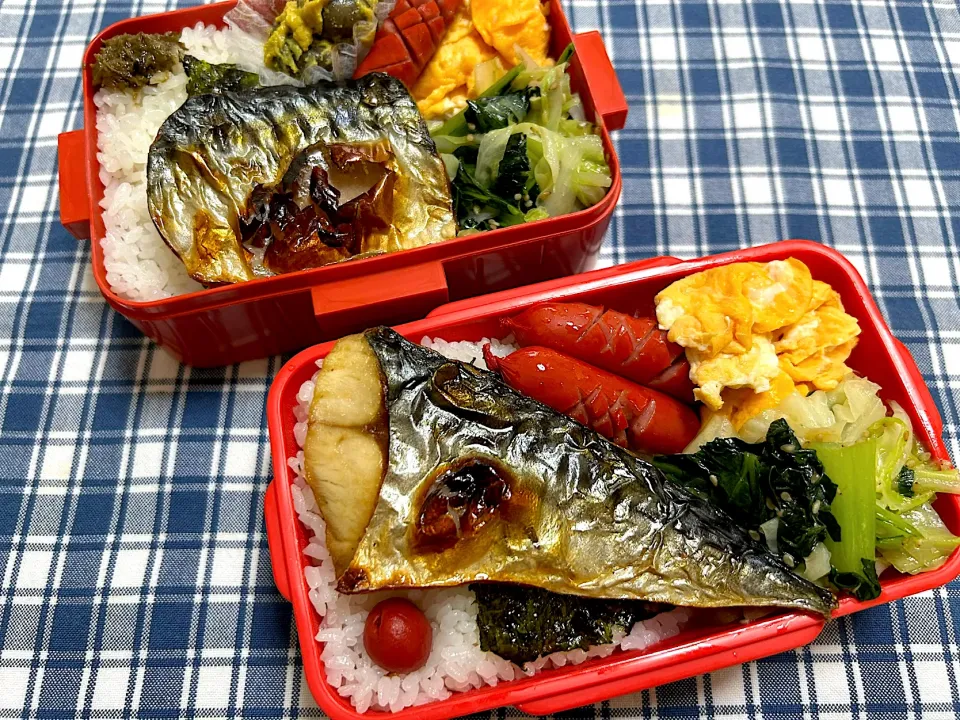 塩サバ弁当|kiusoudaiさん